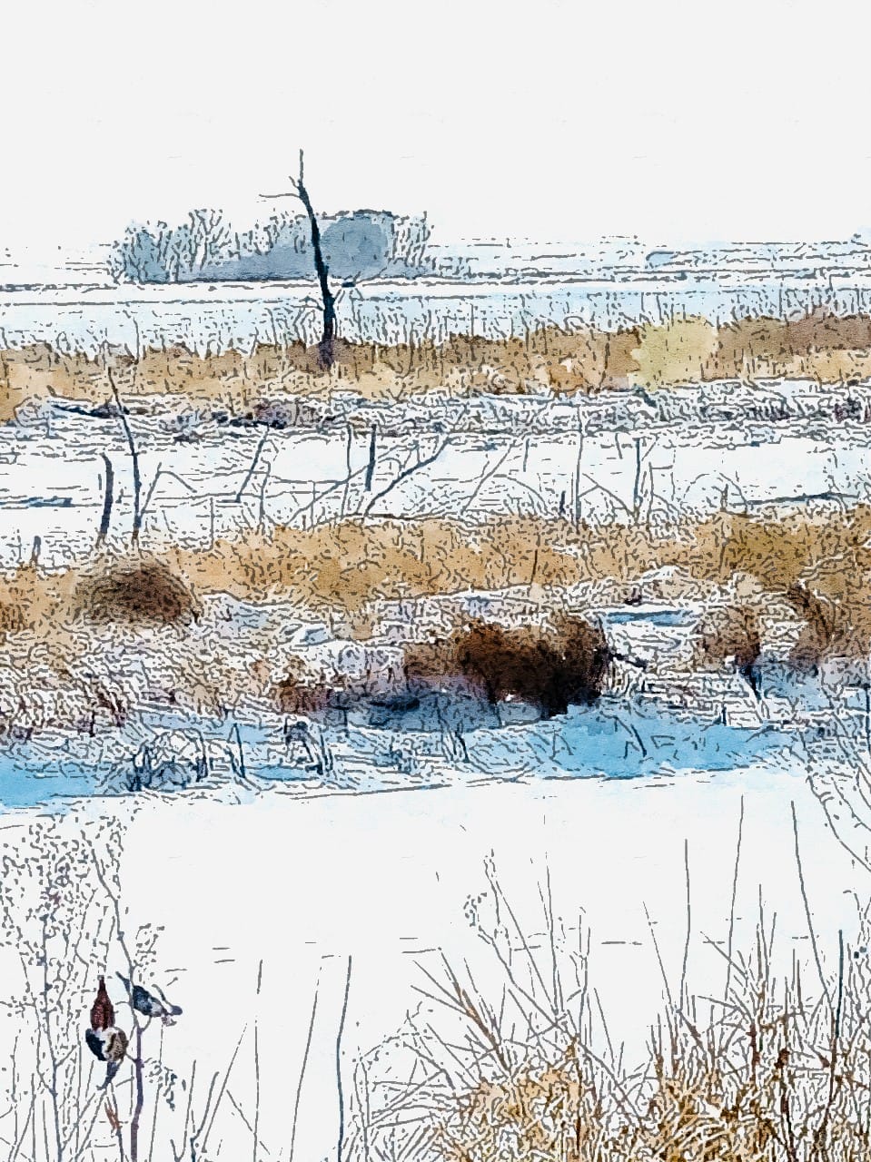 The January Collection: Winter&nbsp;Whimsy