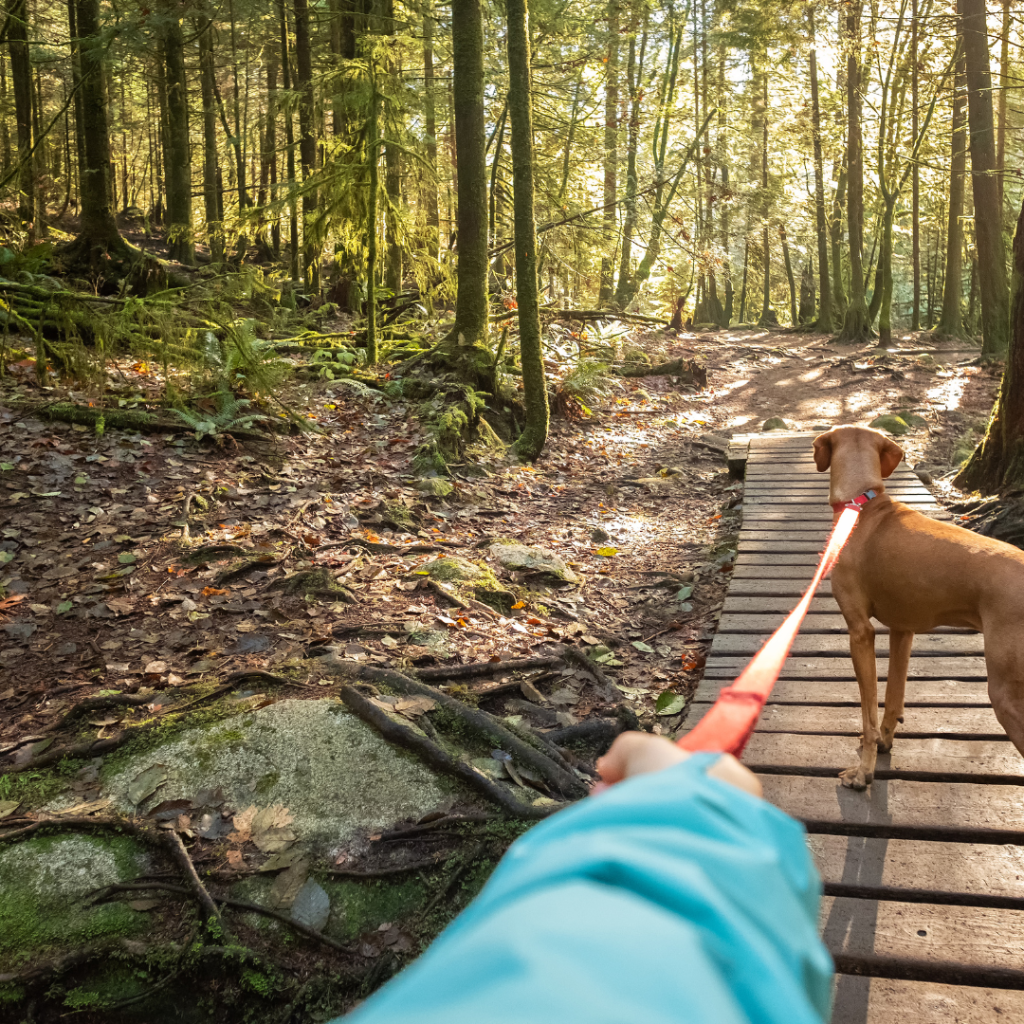 Upgrade Your Health for Free