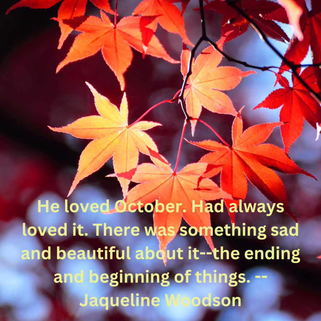 October Collection: Trivia and&nbsp;Treats