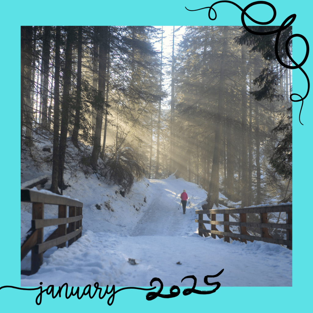 snowy road walk and winter sunshine