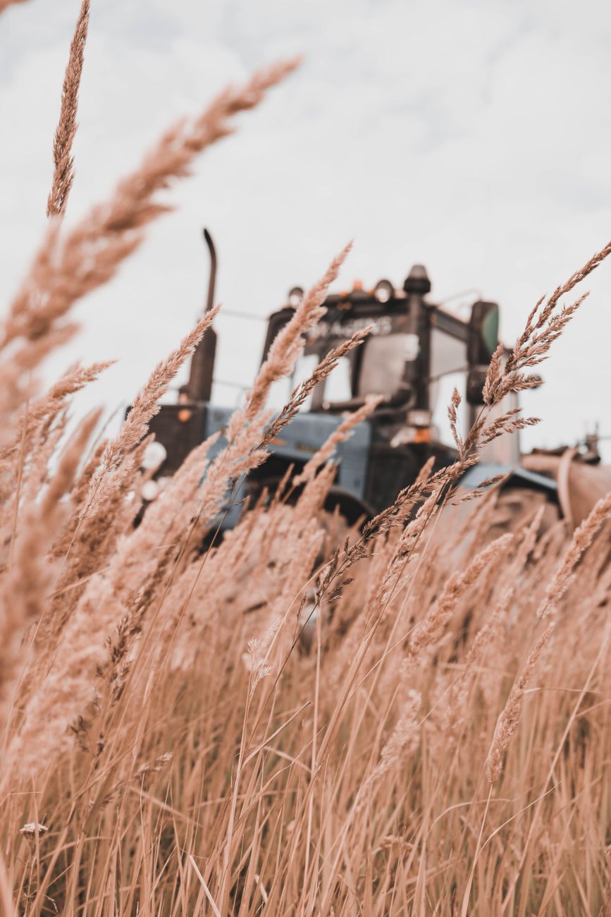 Harvest Song