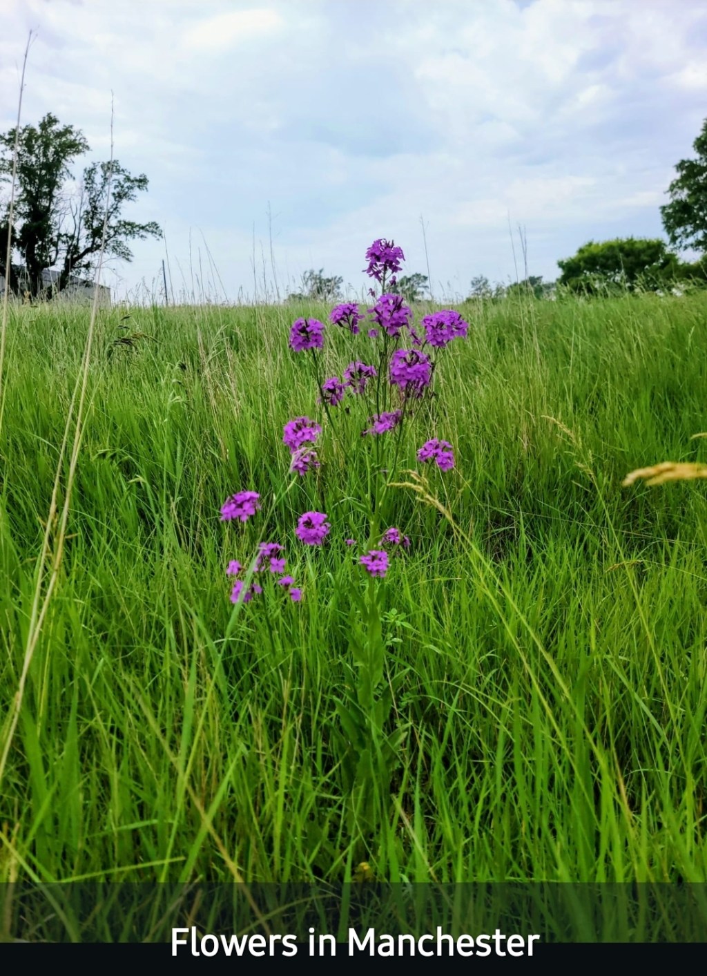 Of Memories Most&nbsp;Tender