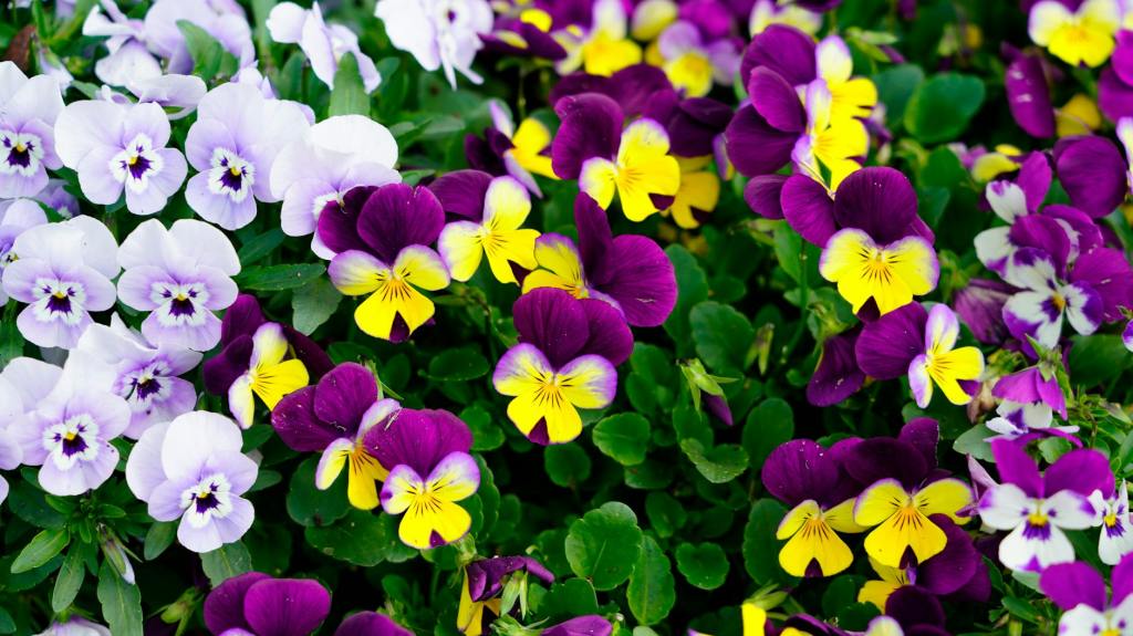 More Than Was Lost Has Been&nbsp;Found